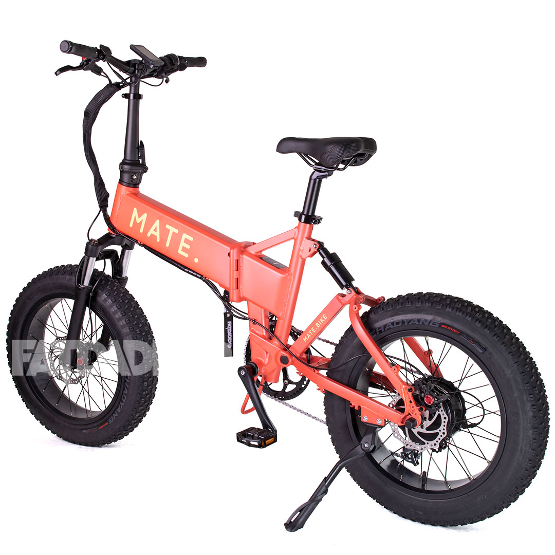 Mate X 250W Caribbean Coral Mate X Caribbean Coral