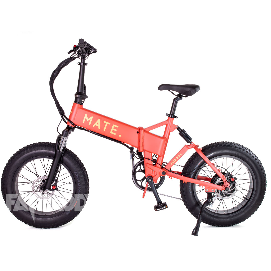 Mate X 250W Caribbean Coral Mate X Caribbean Coral