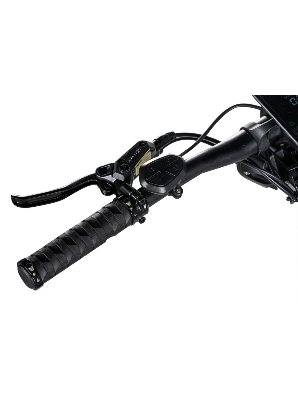 Nami Klima Nami Klima - obrazek 7