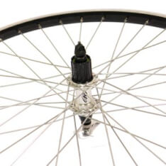 Roland Rear Wheel 26 x 1.75 Dropout Cassette 8 Speed Apex Black
