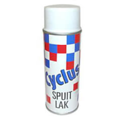 Cycle Spray Paint 400cc 2013 Glossy